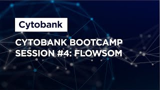 Cytobank Bootcamp Session 4 FlowSOM [upl. by Akemal]