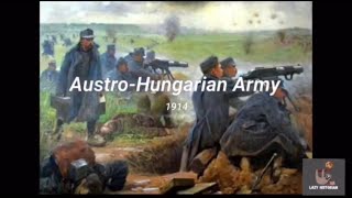 AustrianHungarian Army 1914 [upl. by Munshi552]