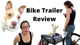 The Best Bike Cargo Trailer Schwinn Daytripper Cargo Trailer Review Chick [upl. by Estevan]