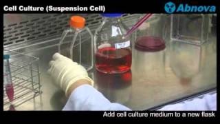 Subculturing cells  Cell culture basics [upl. by Nnylatsyrk]