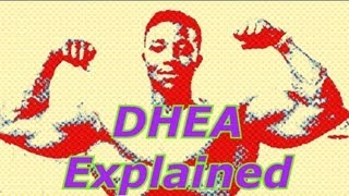 DHEA Explained  Bodybuilding Tips To Get Big [upl. by Niotna]