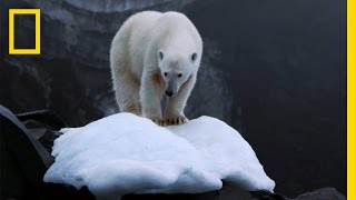 Climate Change Impacts All of Us But Theres Hope  National Geographic [upl. by Wershba691]