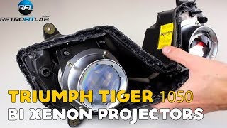 Triumph Tiger 1050  Daytona 675 Bi xenon projectors run both lights [upl. by Katherina]