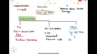 multiple myeloma haematology 76 First Aid USMLE Step 1 in UrduHindi [upl. by Vizza]