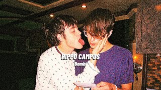 【和訳】Hippo Campus  Bambi [upl. by Muiram]