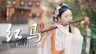 【董敏笛子】Red Horse Dizi music cover by Dong Min｜一曲俏皮又好听的《红马》竹笛版！Chinese musical instruments [upl. by Wyndham117]