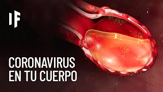 ¿Qué le pasa a tu cuerpo si te contagias de coronavirus [upl. by Salahcin183]