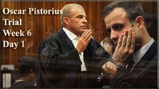 Oscar Pistorius Trial Monday 14 April 2014 Session 1 [upl. by Melamed]