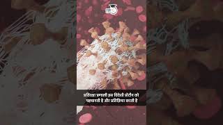 Decoding Vaccines MRNA vs DNA । Manish Sir । StudyIQ IAS Hindi [upl. by Asetal]