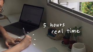 5 hour study with me  no music real time [upl. by Sucramal]