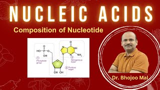 Nucleic Acids  Nucleotide  Class 11 Biology  by Dr Bhojoo Mal [upl. by Siocnarf126]