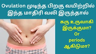 after ovulation one side stomach pain in tamil  after ovulation pregnancy symptoms in tamil [upl. by Corrie356]