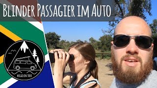 Wir haben einen blinden Passagier  Krüger Nationalpark  Südafrika Vlog 06 [upl. by Octavia]