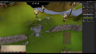 Runescape Best location for cannon [upl. by Pacificas]