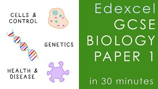 All of Edexcel BIOLOGY Paper 1 in 30 minutes  GCSE Science Revision [upl. by Eudo665]