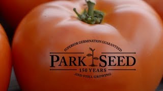 Parks NEW exclusive Legacy Tomato Seeds [upl. by Oiuqise]