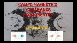 FÍSICA EXPERIMENTO 1 CAMPO MAGNÉTICO [upl. by Frost]