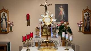 LIVE Eucharistic Adoration  Sisters of Divine Mercy [upl. by Craddock390]