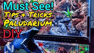 Bioactive Paludarium Vivarium Tips amp Tricks DIY Naturalistic Build [upl. by Rolph]