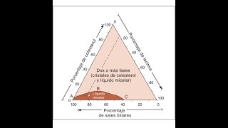 CIRUGÍA La bilis litogenica en la litiasis vesicular se forma por [upl. by Qulllon930]