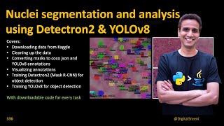 336  Nuclei segmentation and analysis using Detectron2 amp YOLOv8​ [upl. by Kermy]