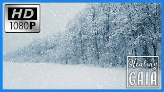 ❄🌲 TORMENTA de NIEVE para DORMIR ▶ Sonido de BOSQUE NEVADO 🌲❄ 8 HORAS [upl. by Abibah]