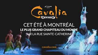 Cavalia Odysséo de retour à Montréal cet été [upl. by Olpe]