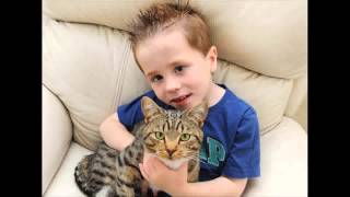 Heroic Pets Cat Protects 5 Year Old Boy From Bullies Dog Saves Deaf Owner From a House Fire [upl. by Seka215]