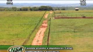 Fazenda com 1150 ha na cidade de Chapadão do Sul MS [upl. by Weinhardt]