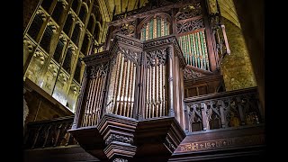 Organ Recital at Sherborne Abbey Dorset January 2023 [upl. by Aznaed458]