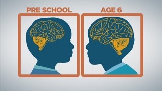 How baby brains develop [upl. by Annaet]