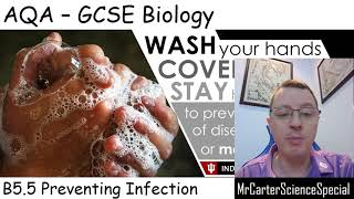 B55  Preventing Infection  AQA Biology GCSE 91 [upl. by Ymas]