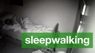 Sleepwalking 101 [upl. by Jadd]