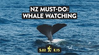 Whale Watching in Kaikoura New Zealand  Reveal New Zealand S2 E15 [upl. by Soma]