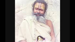 Sri Sri 108 Vinod Bihari das Babaji chanting Hare Krsna Mahamantra [upl. by Sivolc]