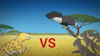 LEOPARD VS BABOON VS EAGLE ANIMATION [upl. by Nolyar]