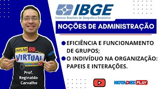 Eficiência e Funcionamento de Grupos  IBGE [upl. by Espy]