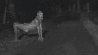 Recent NM skinwalker photo ignites fear [upl. by Novyaj952]