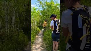 MTB vs Hikers shortsvideo fbreels fbreels highlights mountainbike [upl. by Elenore716]