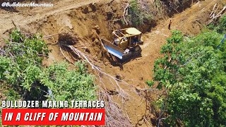 CAT D6R XL Bulldozer Makes Terraces On a Cliff Turn It Into Palm Oil Plantation [upl. by Daenis]