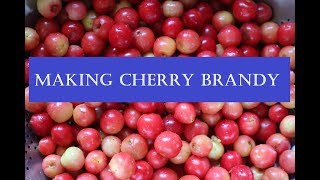 Making Cherry Brandy Simple and Delicious [upl. by Sherrill]