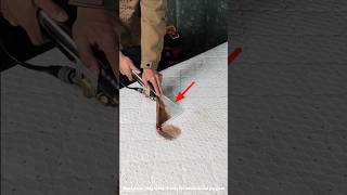 how to clean bed mattress with vacuum cleaner shorts [upl. by Parik]