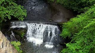 Exploring the Mysterious Depths of Healey Dell [upl. by Amlus]