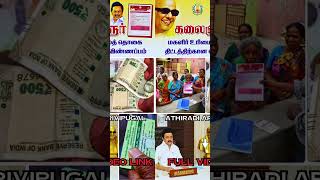 புதிய பயனாளிகளுக்கு மகளிர் உரிமைத்தொகை ரூ1000  kmut mut1000 kmut schemes kmut news tngovt [upl. by Korney]