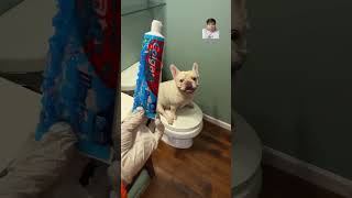 Toilet hack funny toothpastedispenser comedy trendingshorts [upl. by Milman]