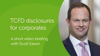 TCFD disclosures for corporates  Barnett Waddingham [upl. by Chaves]