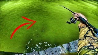 PIER FISHING with an ULTRALIGHT COMBO Baffin Bay Trout Fishing [upl. by Sparkie741]