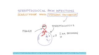 Scarlet fever and its management approach [upl. by Tocci]