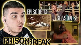 SEASON FINALE POOR SUCRE PRISON BREAK SEASON 3 EPISODE 13 REACTION  The Art of the Deal [upl. by Sutherland904]