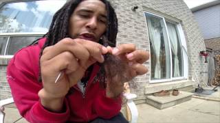 UNCOMBING DREADLOCKS [upl. by Darrell250]